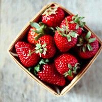 穩(wěn)穩(wěn)的老哥不賭球